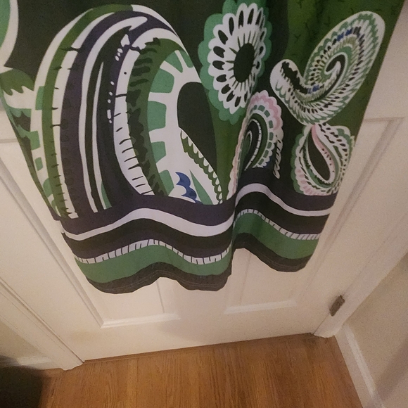 Green Paisley Dress - Picture 5 of 5